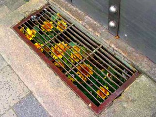 guerilla gardening